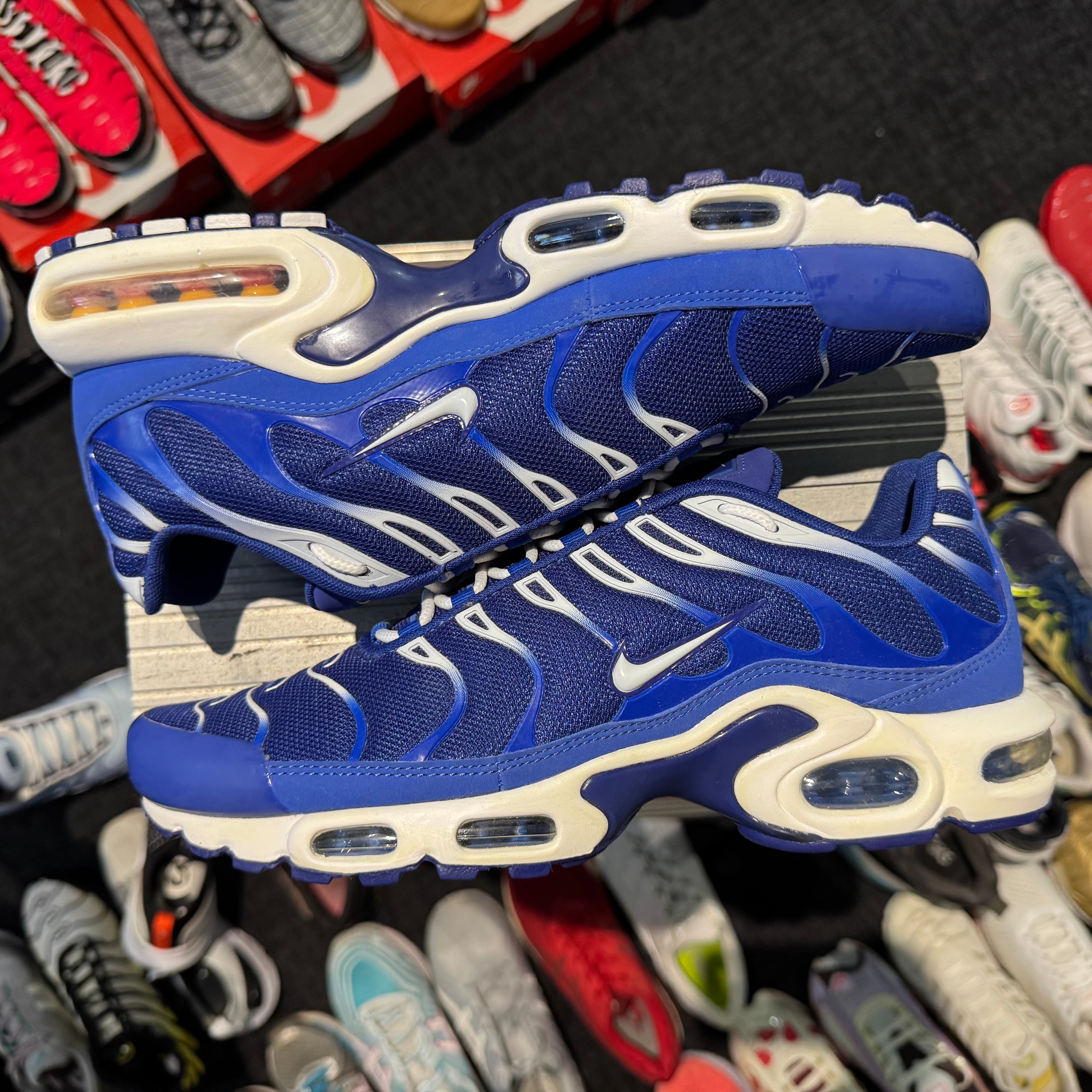 Nike Air Max Plus TN 'Arctic Chill' (Brand New)