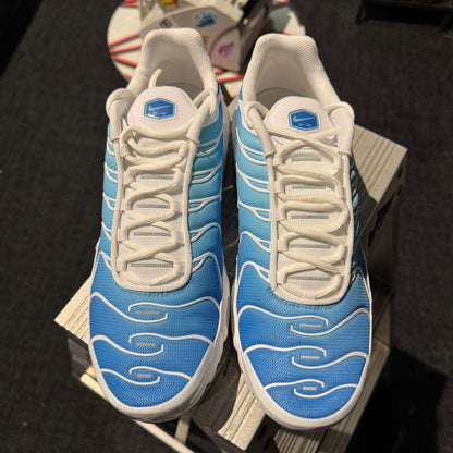 Nike Air Max Plus TN 'Battle Blue' (Brand New)