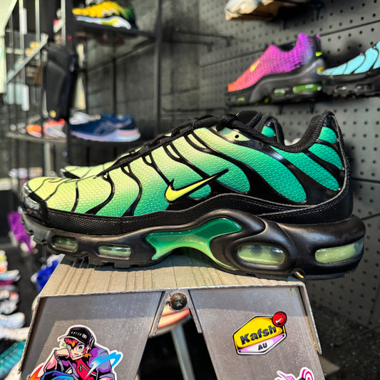 Nike Air Max Plus TN 'Vapor Green Gradient' (Second hand)