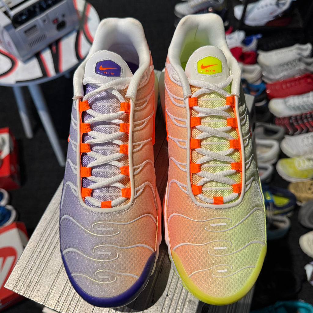 Nike Air Max Plus TN 'Light Colourflip' (Brand New)