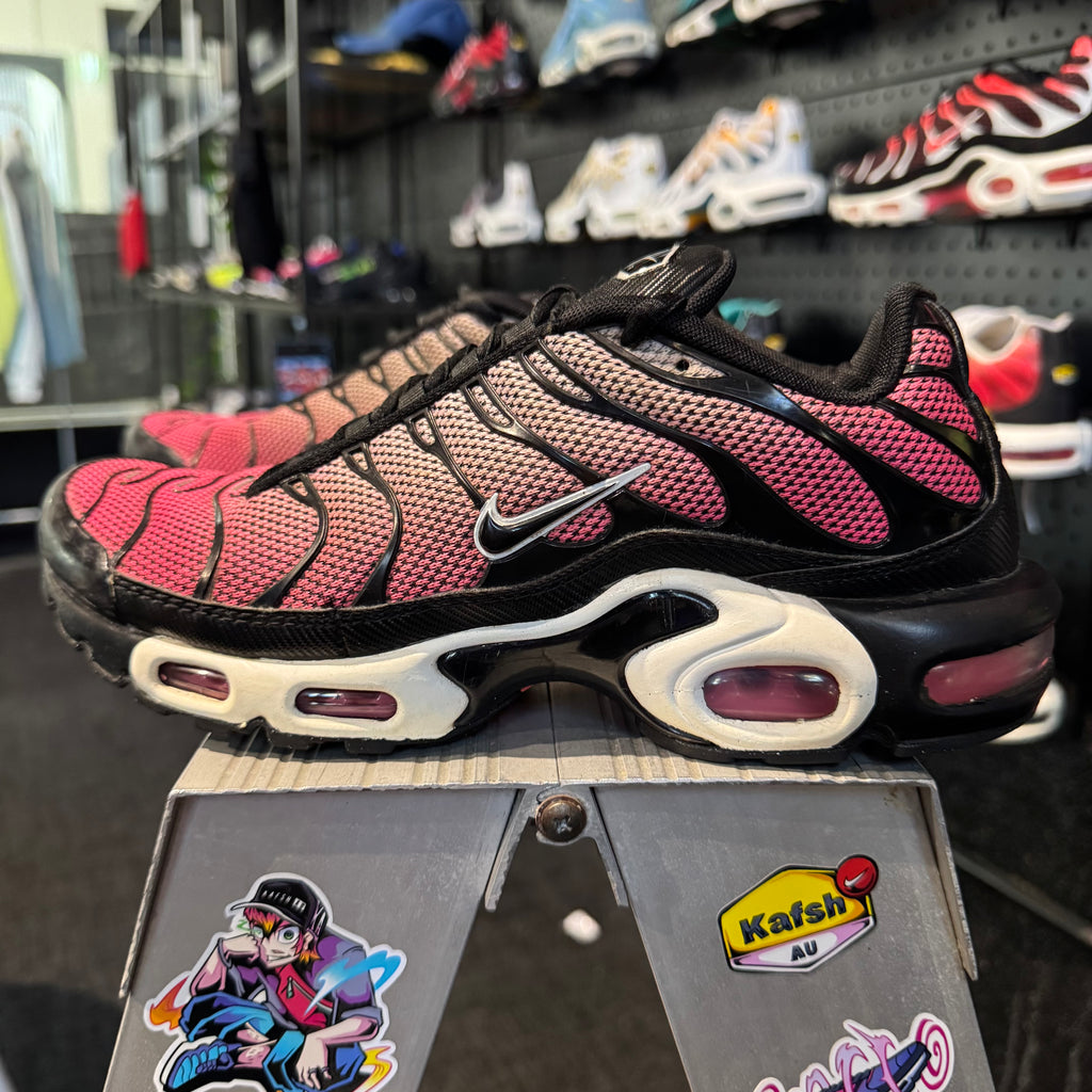 Nike Air Max Plus TN 'All Day' (Second hand)