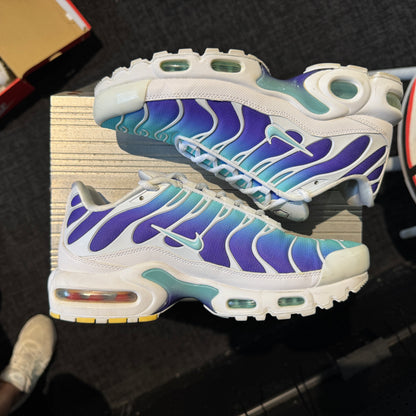Nike Air Max Plus TN SE 'Bleached Aqua' (2018) (Second hand)