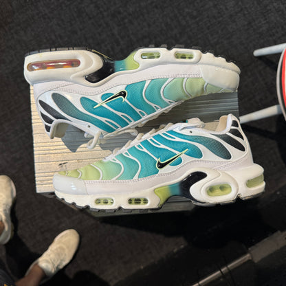 Nike Air Max Plus TN 'Dusty Cactus' (Second hand)