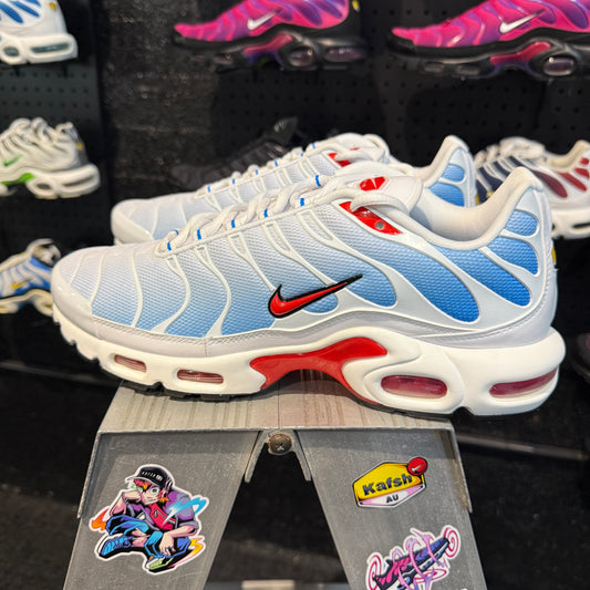 Nike Air Max Plus TN 'Tide' (Brand New)
