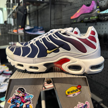 Nike Air Max Plus TN 'PSG' (Second hand)