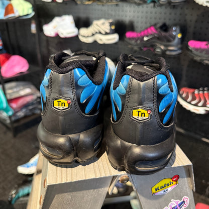 Nike Air Max Plus 'TN' Neptune (Second hand)
