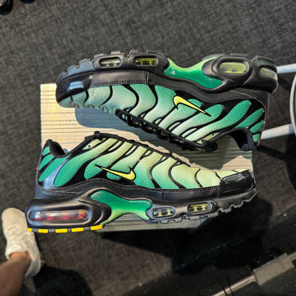 Nike Air Max Plus TN 'Vapor Green Gradient' (Second hand)
