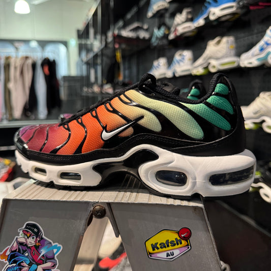 Nike Air Max Plus TN 'Viotech Rainbow' (Second hand)