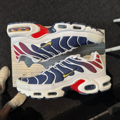 Nike Air Max Plus TN 'PSG' (Second hand)