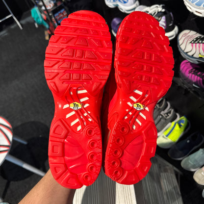 Nike Air Max Plus 'TN' Lava (Brand New)