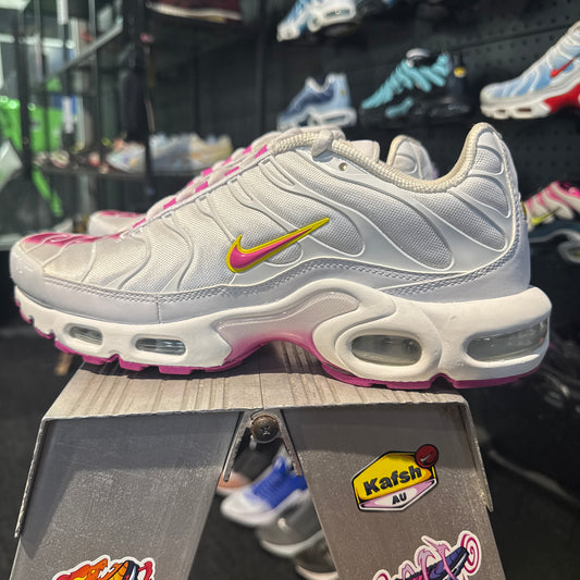 Nike Air Max Plus 'TN' Lotus (Second hand)