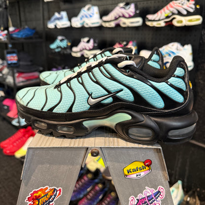 Nike Air Max Plus TN 'Dark Tiffany' 2020 (Second hand)