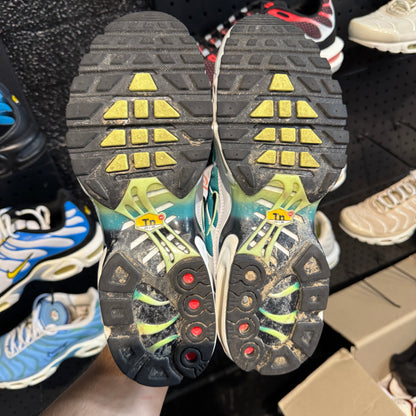 Nike Air Max Plus TN 'Dusty Cactus' (Second hand)