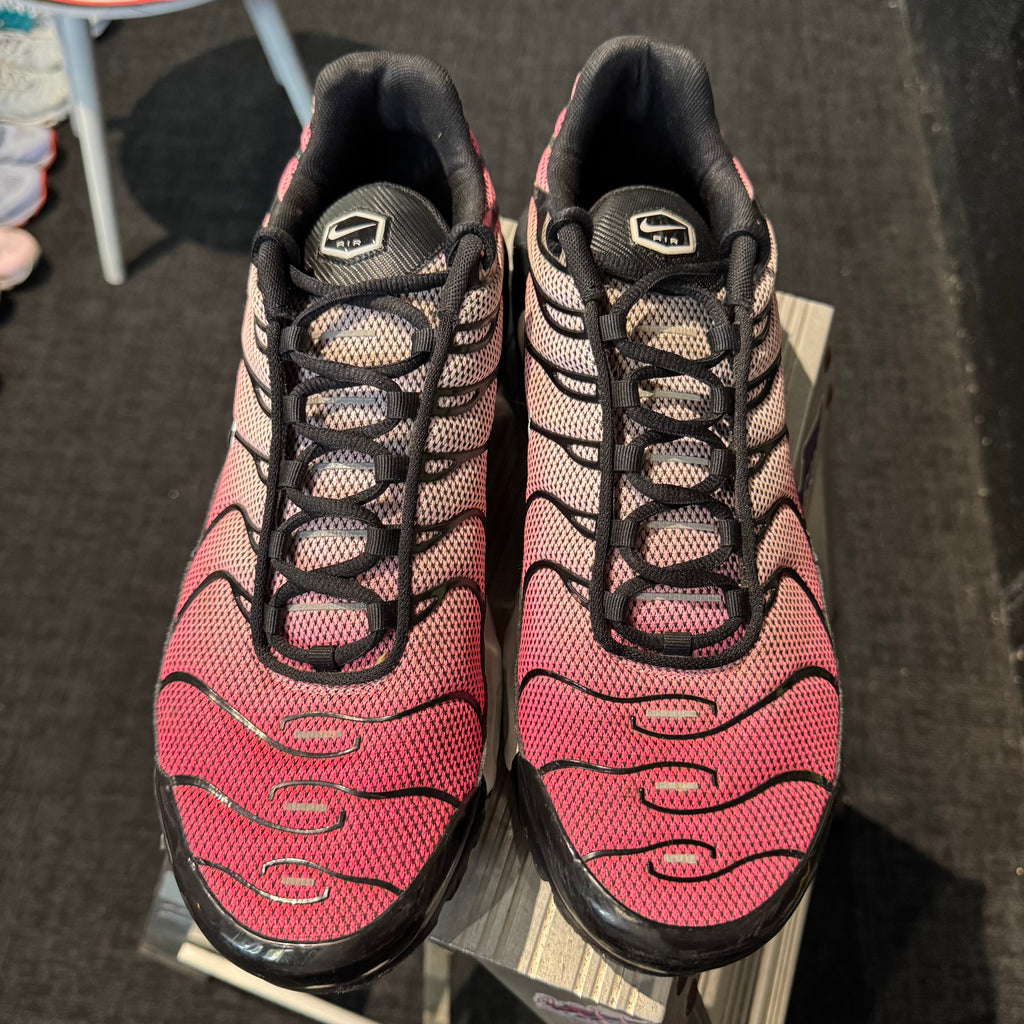 Nike Air Max Plus TN 'All Day' (Second hand)