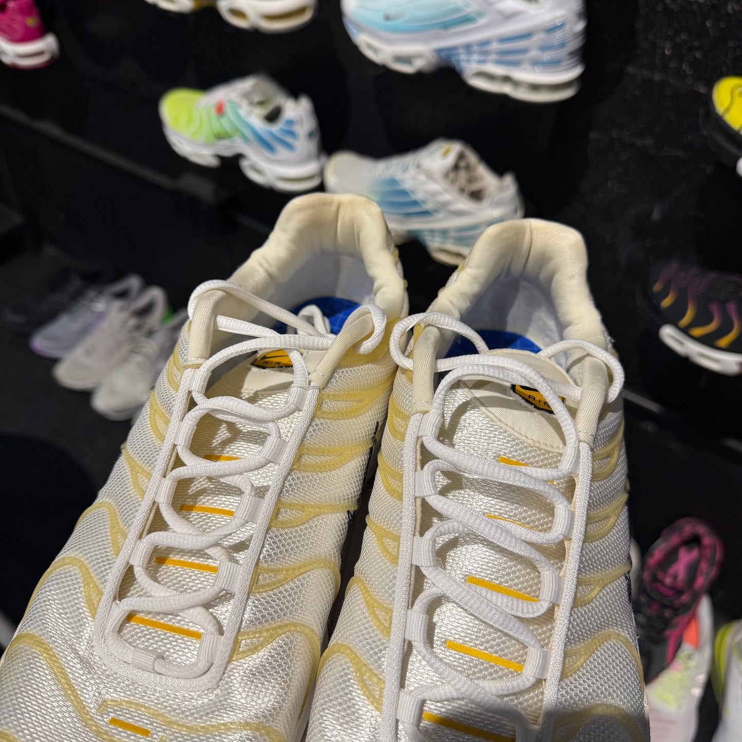 Nike Air Max Plus TN 'Frank Rudy' (Second hand)