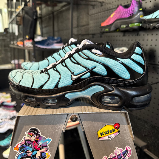 Nike Air Max Plus TN 'Dark Tiffany' (Second hand)