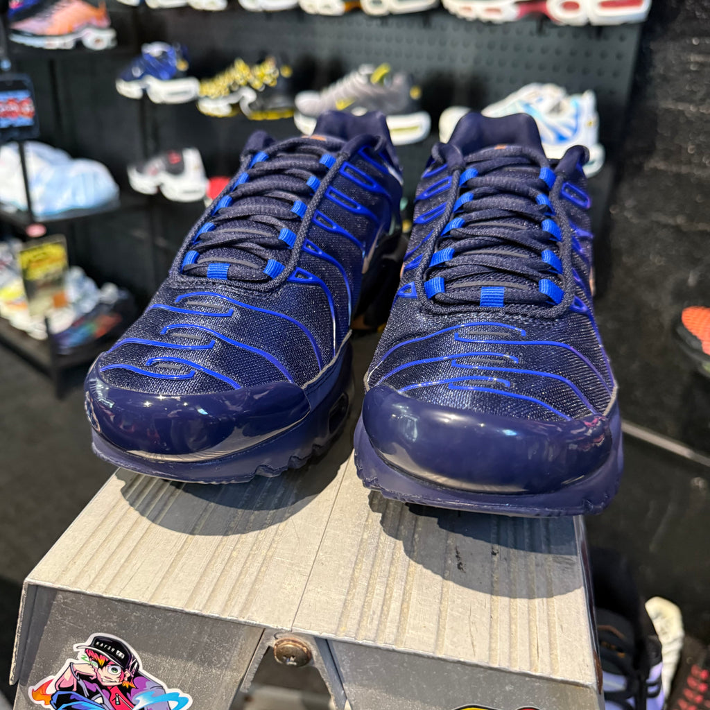 Nike Air Max Plus TN 'French Football Federation' (Brand New)