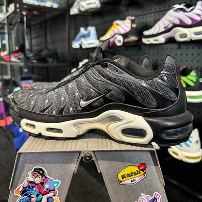 Nike Air Max Plus TN SE 'Black Chrome' (Second hand)