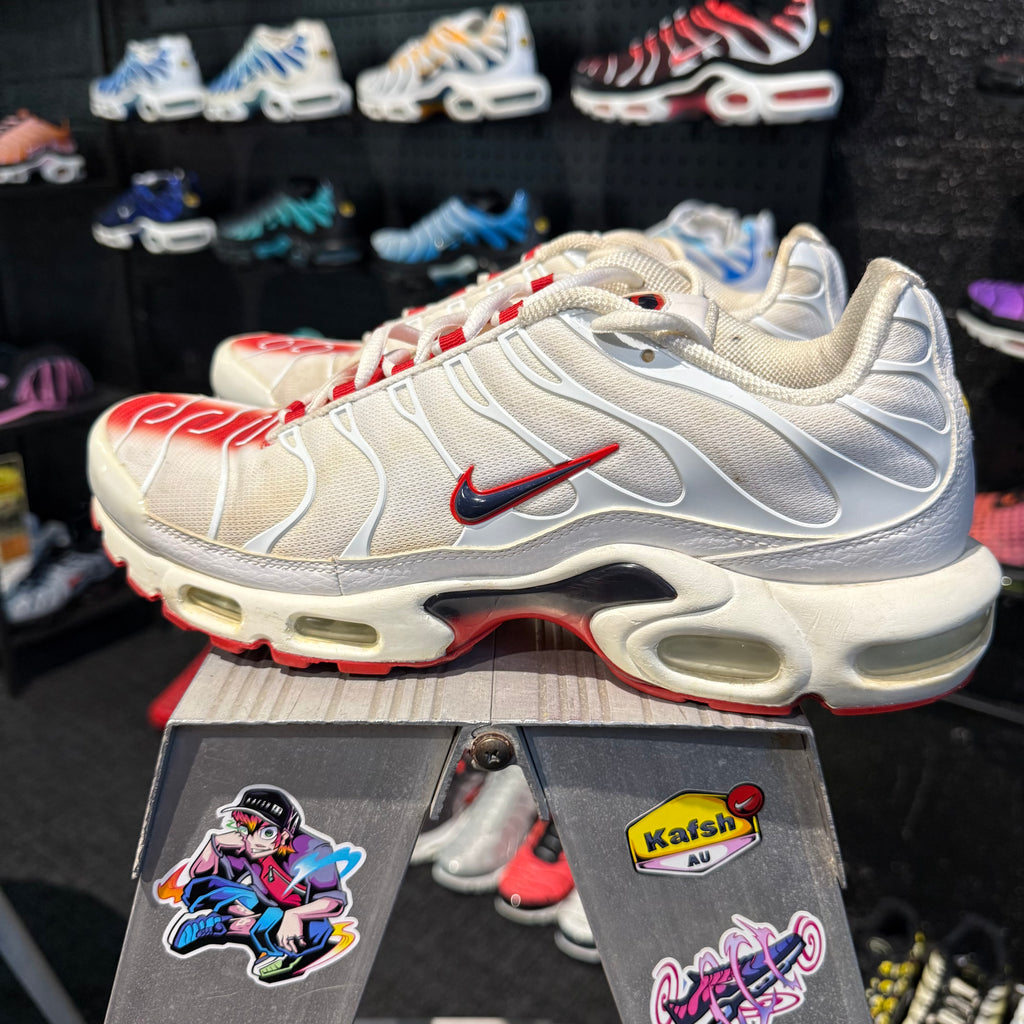Nike Air Max Plus TN 'Bloodline' (Second hand)