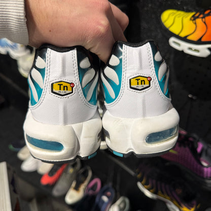 Nike Air Max Plus TN 'Turbo Green' (Second hand)