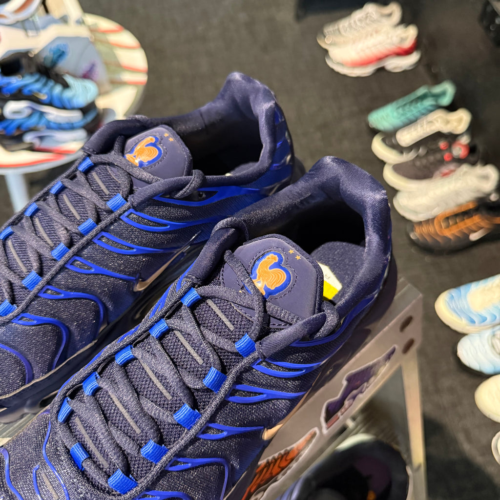 Nike Air Max Plus TN 'French Football Federation' (Brand New)