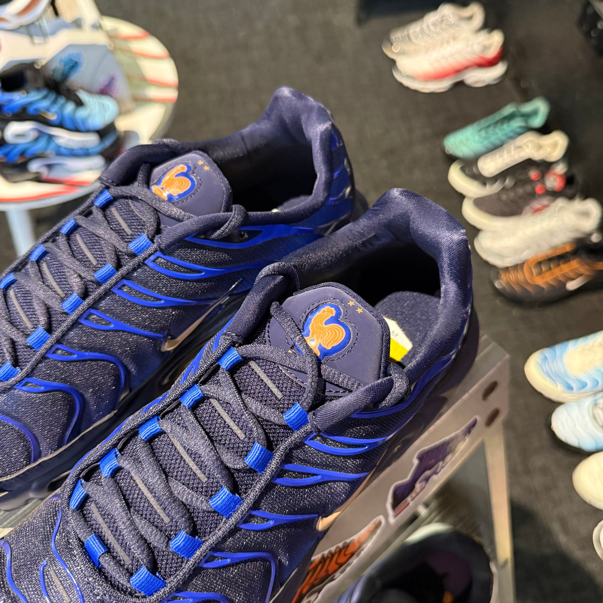 Nike Air Max Plus TN 'French Football Federation' (Brand New)