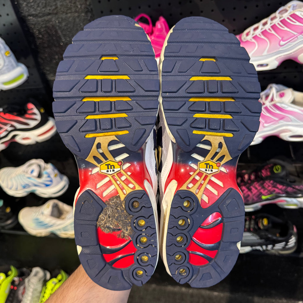 Nike Air Max Plus TN 'PSG' (Second hand)