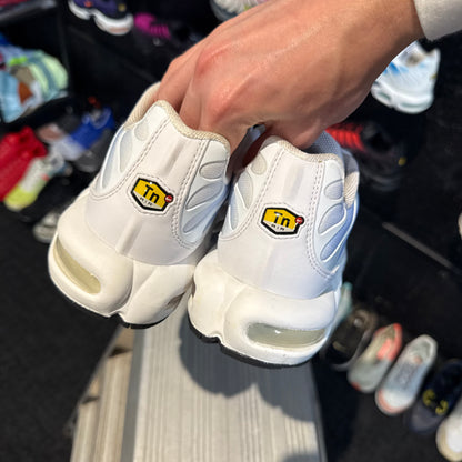 Nike Air Max Plus TN 'Rainbow Summer Gradient' (Second hand)