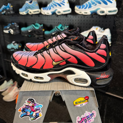 Nike Air Max Plus TN 'Sisterhood' (Second hand)