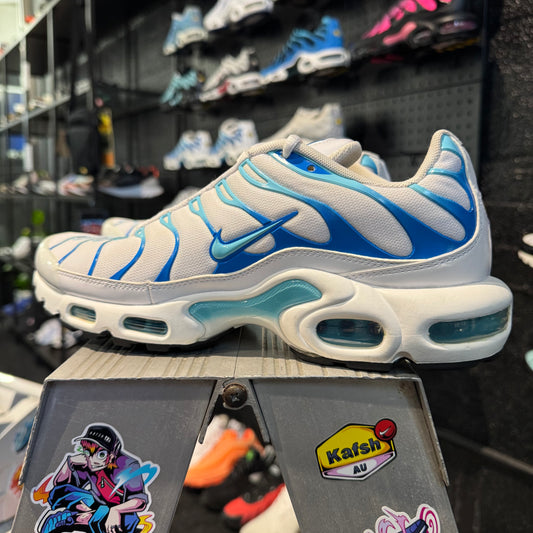Nike Air Max Plus TN 'Dream' (Second hand)