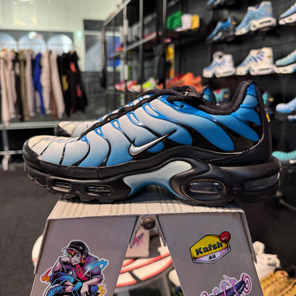 Nike Air Max Plus TN 'Neptune' (Second hand)