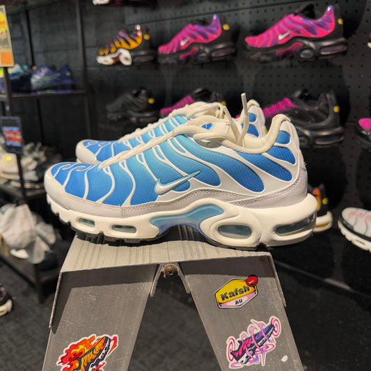 Nike Air Max Plus 'TN' Battle Blue (Second hand)