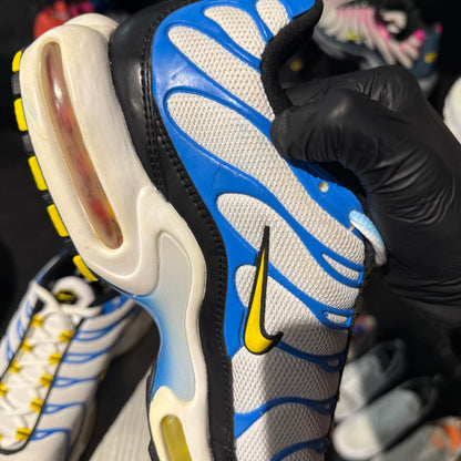 Nike Air Max Plus 'TN' Paradise 2015 (Second hand)