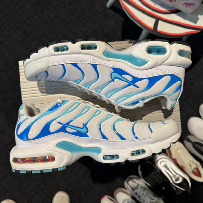 Nike Air Max Plus TN 'Dream' (Second hand)