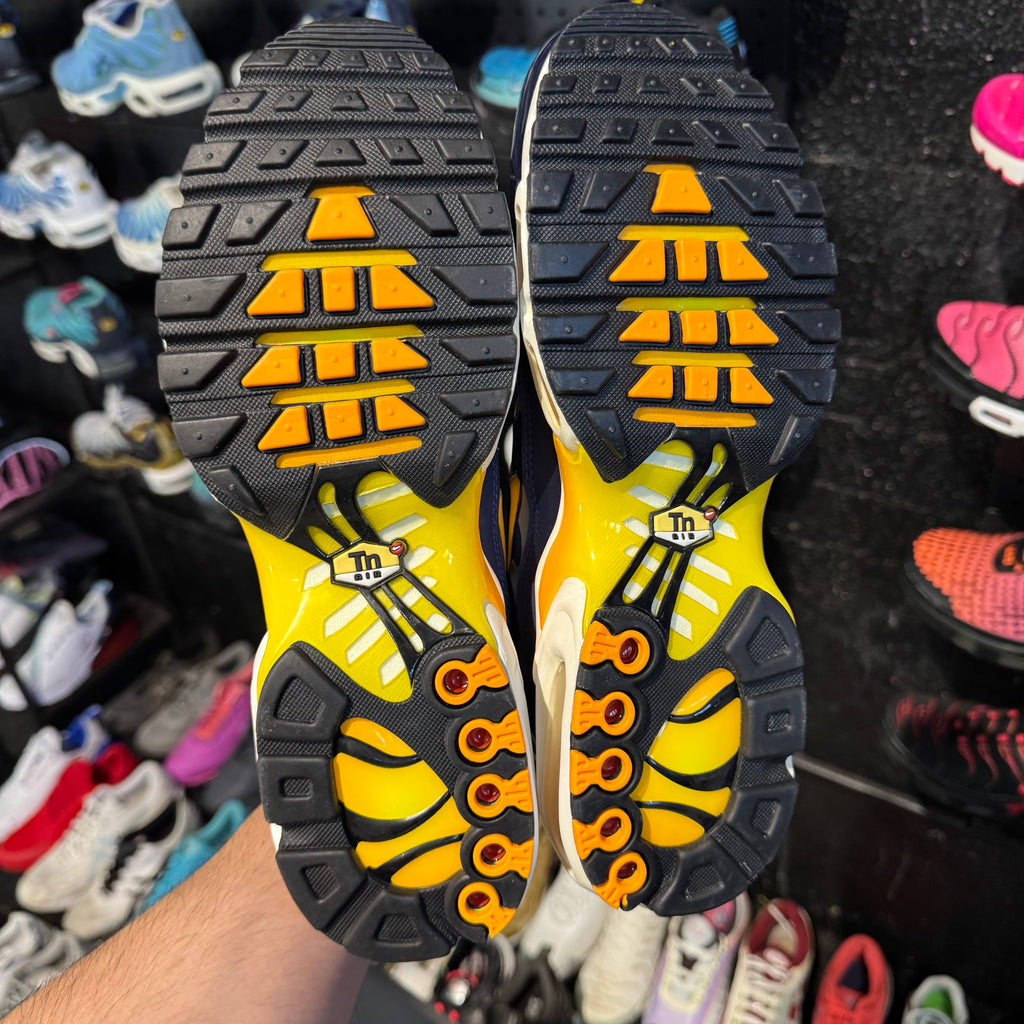 Nike Air Max Plus TN 'Blue Void Laser Orange' (Brand New)