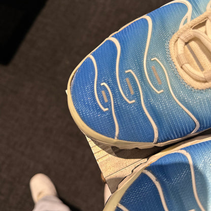 Nike Air Max Plus 'TN' Battle Blue (2019) (Second hand)