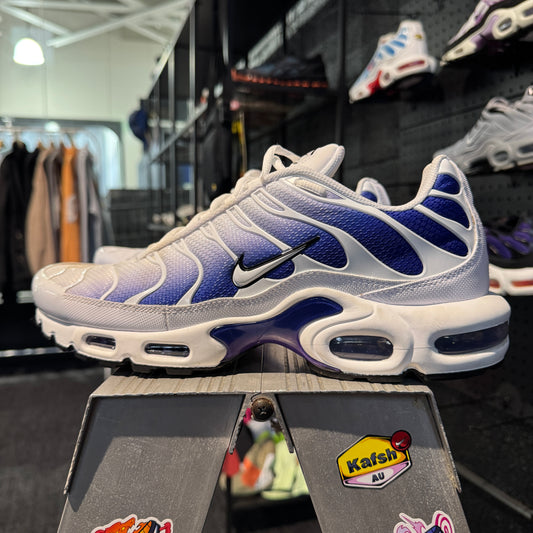 Nike Air Max Plus 'TN' Wild Grape (Second hand)
