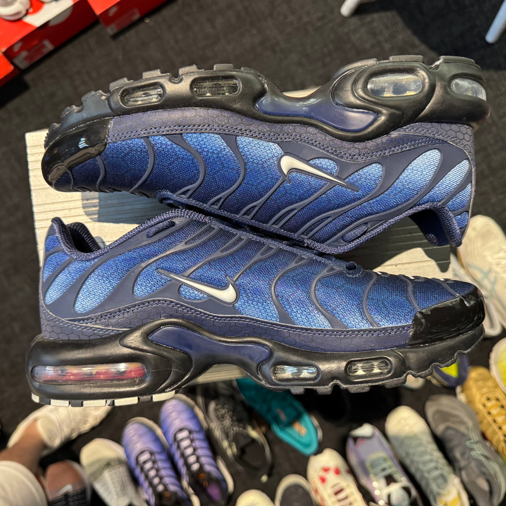 Nike Air Max Plus TN 'Blue Hex' (Brand New)