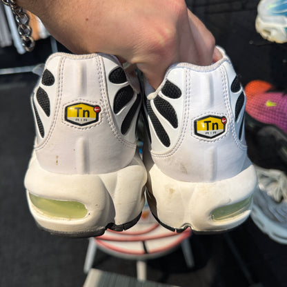 Nike Air Max Plus TN 'Dusty Cactus' (Second hand)