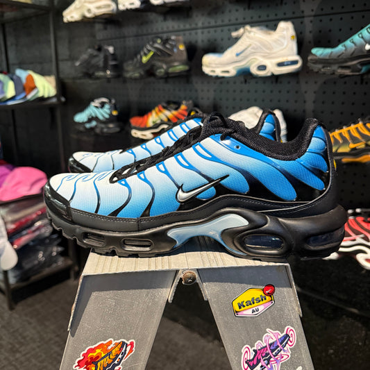 Nike Air Max Plus 'TN' Neptune (Second hand)