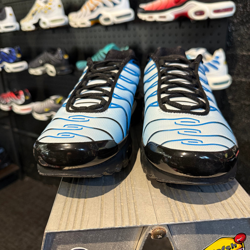 Nike Air Max Plus TN 'Neptune' (Brand New)