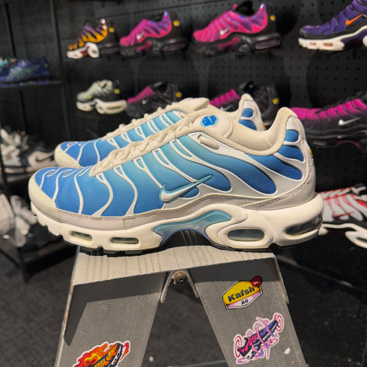 Nike Air Max Plus 'TN' Battle Blue (Second hand)