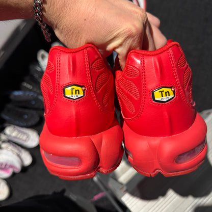 Nike Air Max Plus 'TN' Lava (Brand New)