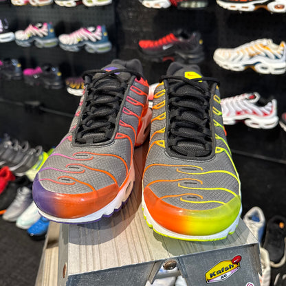Nike Air Max Plus 'TN' Dark Colour Flip (Second hand)