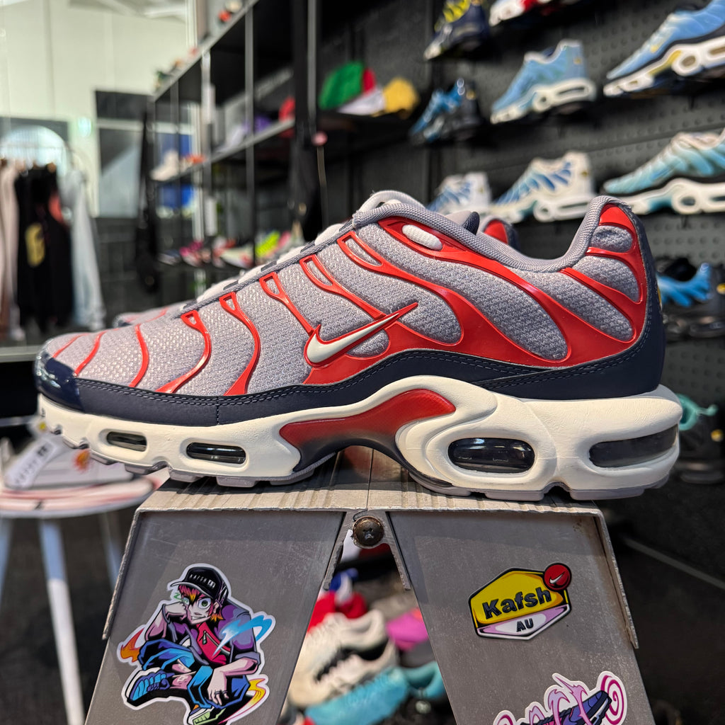 Nike Air Max Plus TN 'USA Grey' (Brand New)