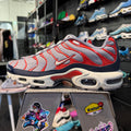 Nike Air Max Plus TN 'USA Grey' (Brand New)