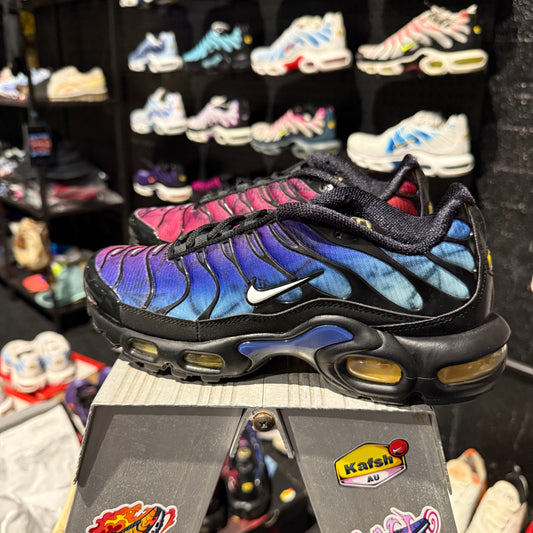 Nike Air Max Plus 'TN' 25th Anniversary (Brand New)