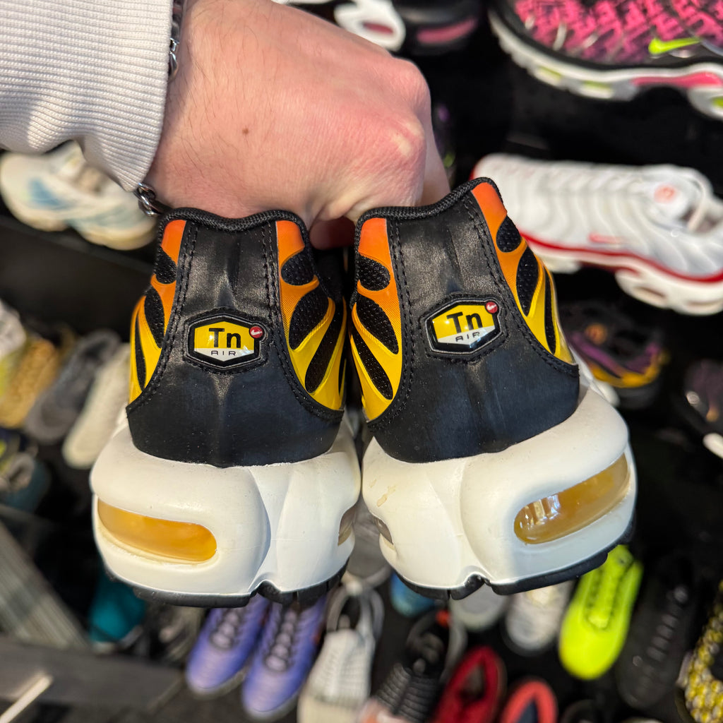 Nike Air Max Plus TN 'Reverse Sunset' (Brand New)