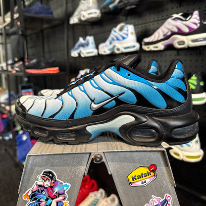 Nike Air Max Plus TN 'Neptune' (Second hand)