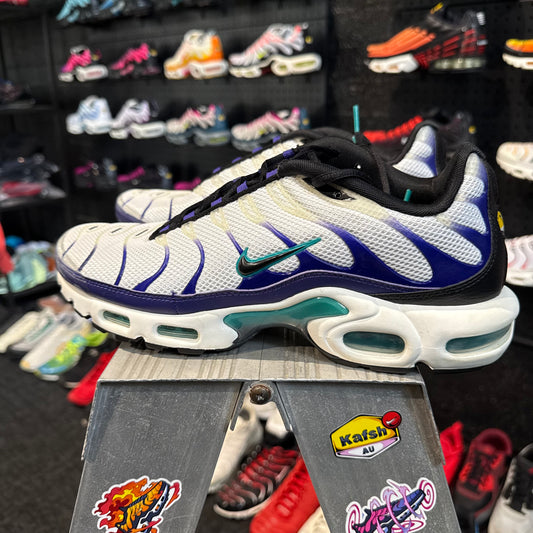 Nike Air Max Plus 'TN' Grape (Second hand)
